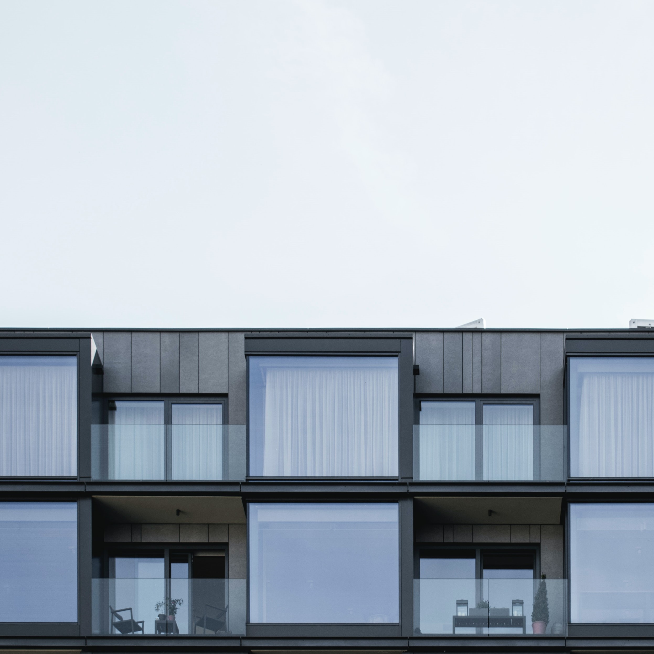 pexels-yurii-hlei-2098782